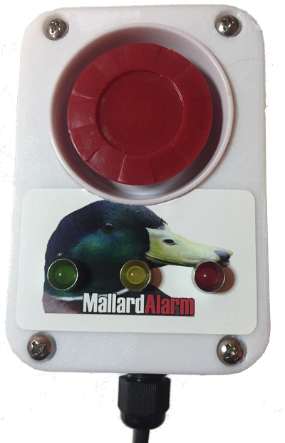 Mallard2n